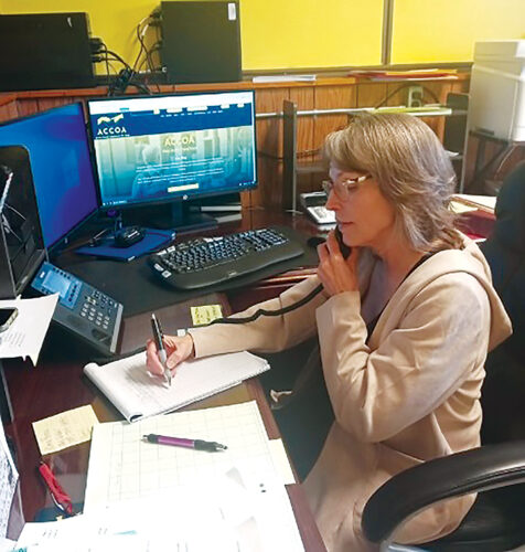 New Alcona senior group director focused on future | News, Sports, Jobs - Vimarsana News